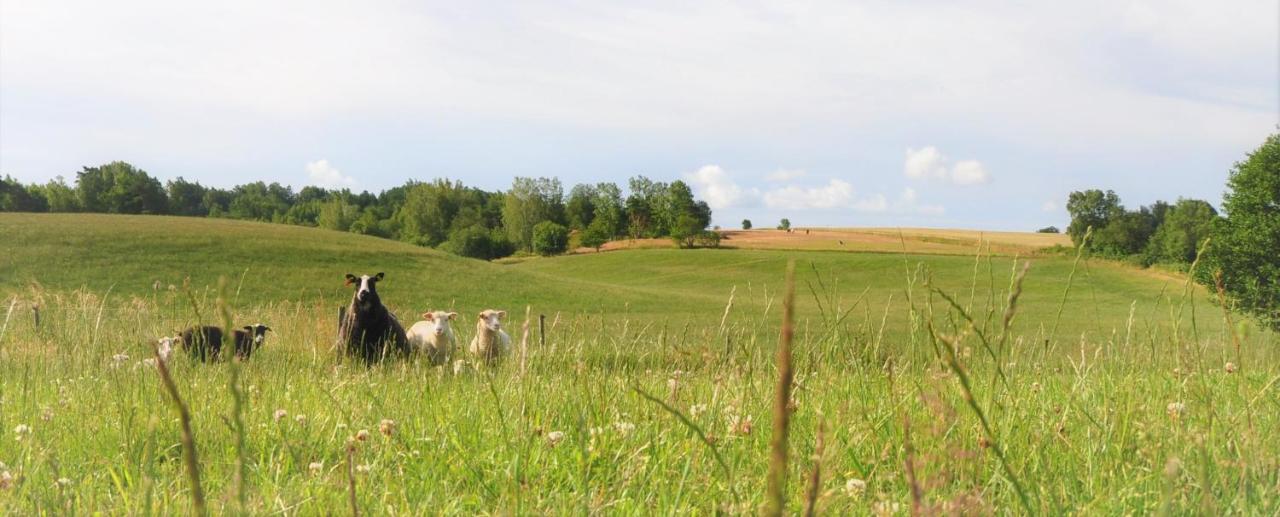 Sandfallet Glamping Laholm Esterno foto