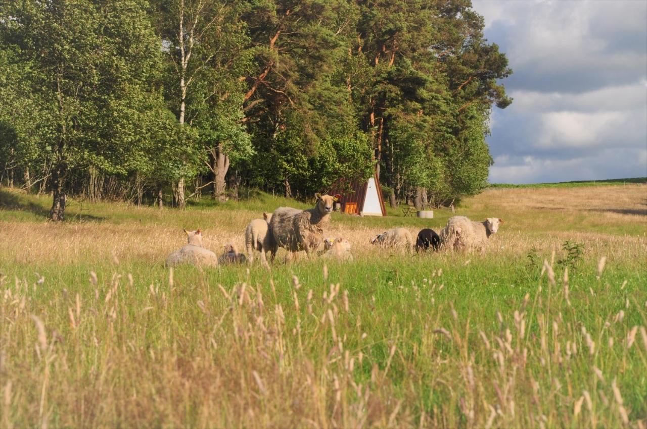 Sandfallet Glamping Laholm Esterno foto