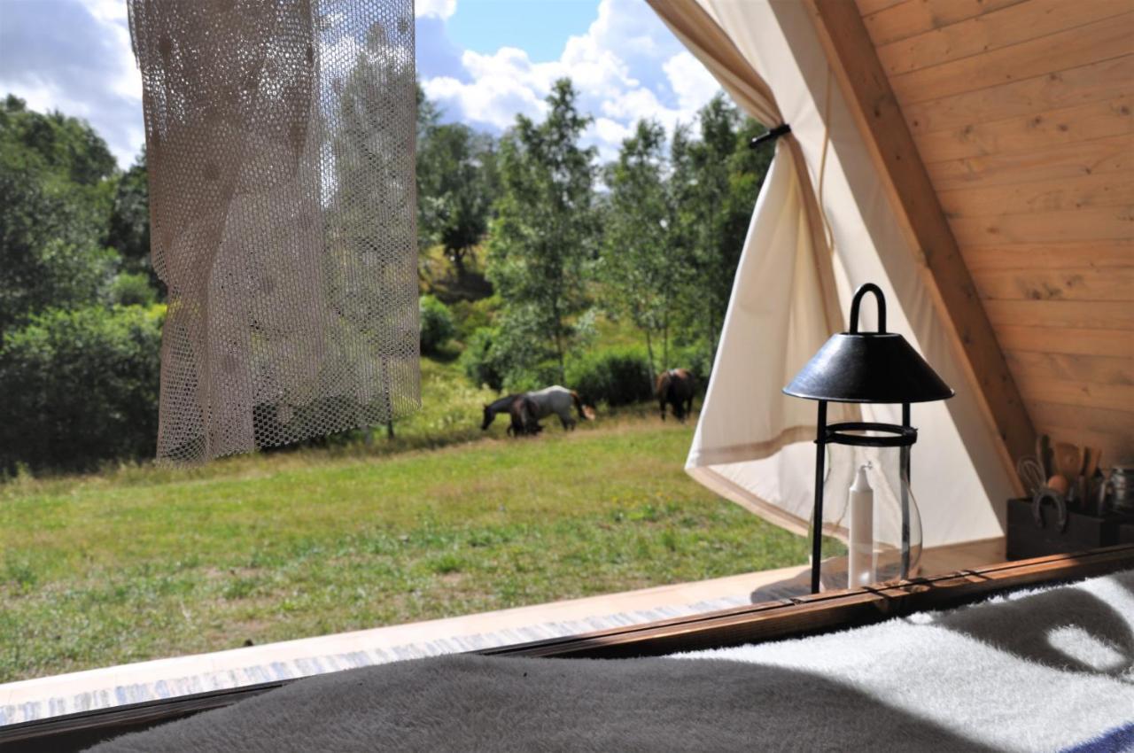 Sandfallet Glamping Laholm Esterno foto
