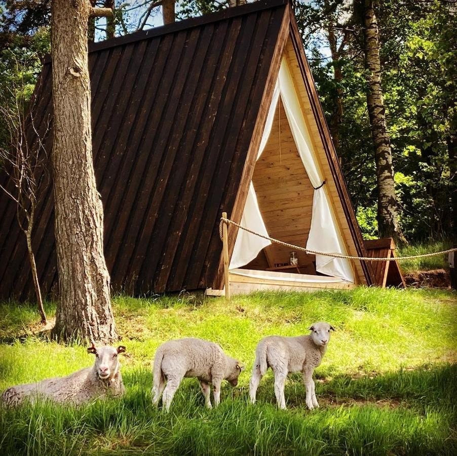 Sandfallet Glamping Laholm Esterno foto